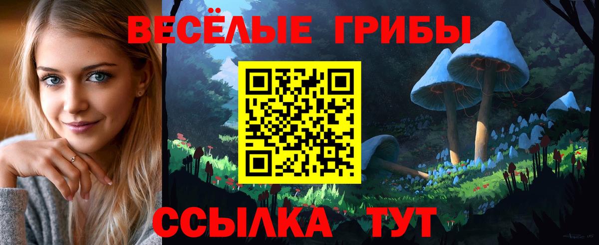 Кинешма  Псилоцибиновые грибы Psilocybe  Вход с VPN 